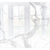 Parrot Glass Hob Splashback - Marble Photo