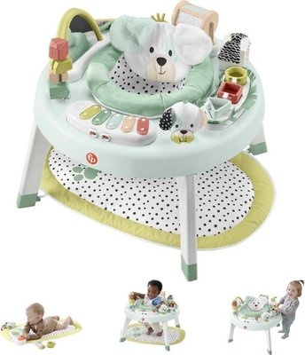 Photo of Fisher Price Fisher-Price 3-in-1 SnugaPuppy Activity Center