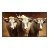 Fancy Artwork Canvas Wall Art :Three Big Brahman Bulls - Photo