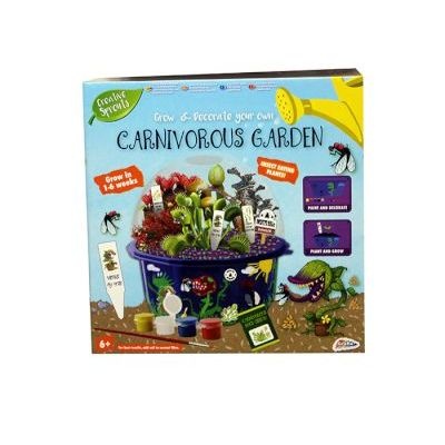Photo of Grafix Creative Sprouts Grow & Decorate Your Own Carnivorous Garden
