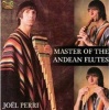 Arc Music Master of the Andean Flute Photo