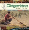 Arc Music Didgeridoo Street Music Photo