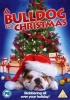 A Bulldog for Christmas Photo