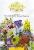 A World of Plants: Summer Photo
