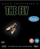 The Fly Photo