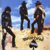 Ace of Spades Photo