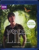 Wonders Of Life Photo