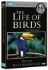 The Life of Birds: The Complete Series Photo