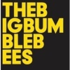 The Big Bumble Bees Photo