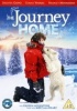 The Journey Home Photo