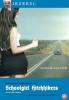 Schoolgirl Hitchhikers Photo