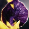 Subtext Recordings From Patterns to Details Photo