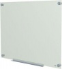 Parrot Glass Magnetic Whiteboard Photo