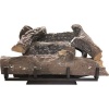 Alva Gas Fire Place Photo