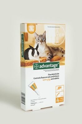 Photo of Bayer Advantage - Small Cats