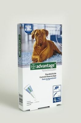 Photo of Bayer Advantage - Extra Large Dogs