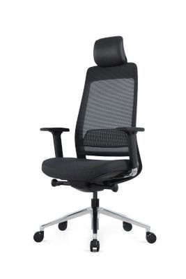 Photo of Ergo Press Ergo Exec Ergonomic chair with headrest