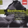 Gemini Beethoven Piano Trio Photo