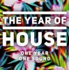 The Year of House Photo
