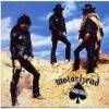 Ace of Spades Photo