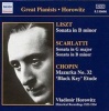Naxos Great Pianists: Horowitz Photo