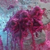 Halocline Trance Pure Beyond Reproach Photo