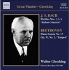 Naxos Great Pianists: Gieseking Photo