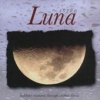 Clay Pasternack Liquid Sounds: Astro Luna Photo