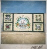 Resolve Photo