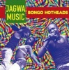 Crammed Discs Bongo Hotheads Photo