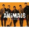 Music Video Dist Raw Animals Photo