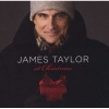 Sony James Taylor At Christmas Photo