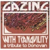 Rock The Cause Gazing With Tranquility Photo