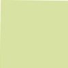 American Crafts Textured Cardstock - Key Lime Photo