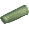 Golden Acrylic Heavy Body - Historical -terre Vert Hue Photo