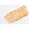 Golden Acrylic Heavy Body - Gold Coarse Iridescent Photo