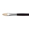 Winsor Newton Winsor & Newton Azanta Black Brush Filbert LH Photo