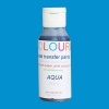 Colourist Heat Transfer Paint S2 - Aqua Photo