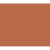 Caran Dache Classic Neocolor I - Burnt Sienna Photo
