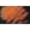 Derwent Metallic Pencil - Copper Photo