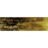 Derwent Graphitint Pencil - Sage Photo