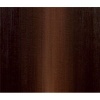 Daler Rowney Georgian Oil - Burnt Umber Photo