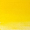 Winsor Newton Griffin Alkyd Oil - Winsor Yellow Photo