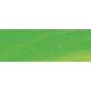 Rembrandt Talens Oil Colour Tube - Permanent Yellow Green Photo