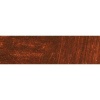 Williamsburg Oil Colour - Italian Burnt Sienna Photo