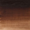 Winsor Newton Winsor & Newton Winton Oil - Burnt Umber Photo