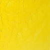 Winsor Newton Winsor & Newton Winton Oil - Lemon Yellow Hue Photo