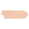 Sennelier Soft Pastel - Red Brown 11 Photo
