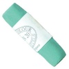 Unison Soft Pastels - Green 20 Photo