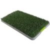 Rex Dog Potty Patch Photo